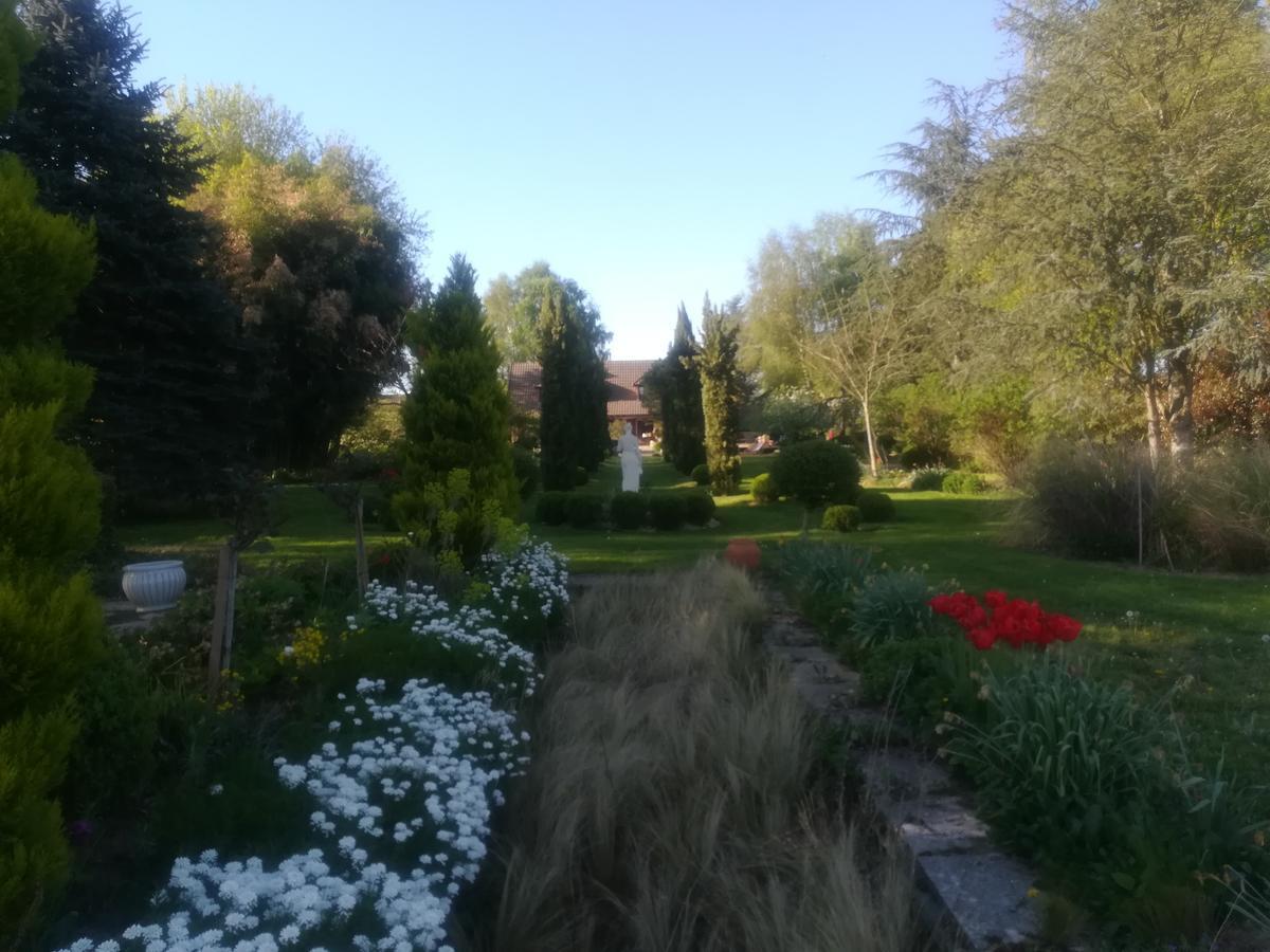 La Renaudiere En Bourgogne Gergy Εξωτερικό φωτογραφία
